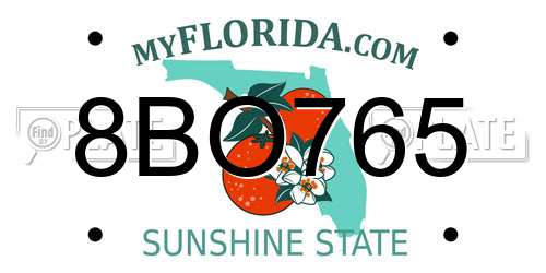 8BO765 Florida License Plate