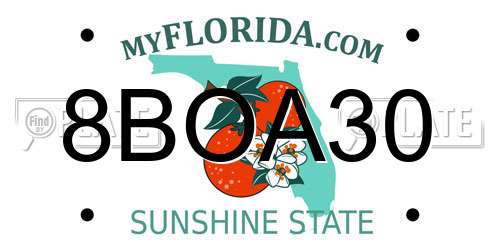 8BOA30 Florida License Plate