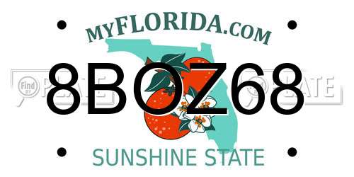 8BOZ68 Florida License Plate