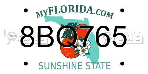 8BQ765 Florida License Plate