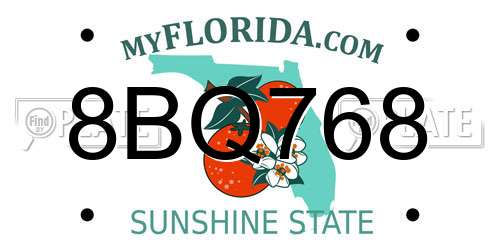 8BQ768 Florida License Plate