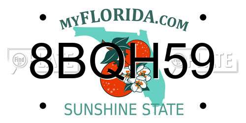 8BQH59 Florida License Plate
