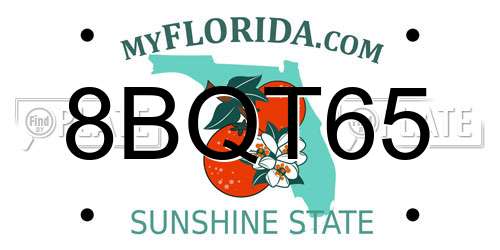 8BQT65 Florida License Plate