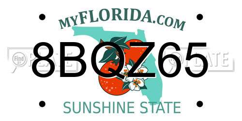 8BQZ65 Florida License Plate