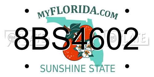 8BS4602 Florida License Plate