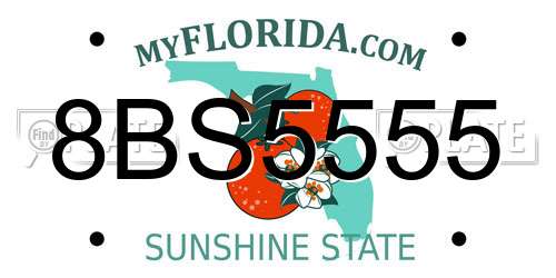 8BS5555 Florida License Plate