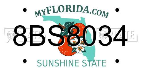 8BS8034 Florida License Plate
