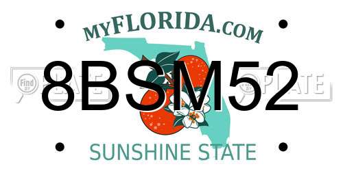 8BSM52 Florida License Plate