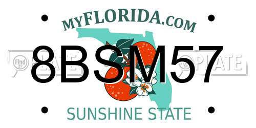 8BSM57 Florida License Plate