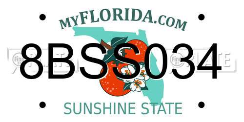 8BSS034 Florida License Plate
