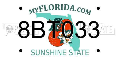 8BT033 Florida License Plate
