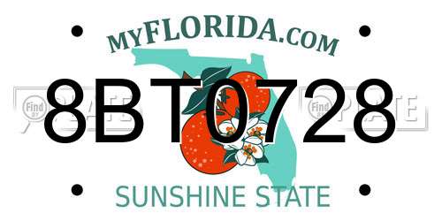 8BT0728 Florida License Plate