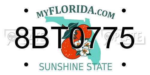 8BT0775 Florida License Plate