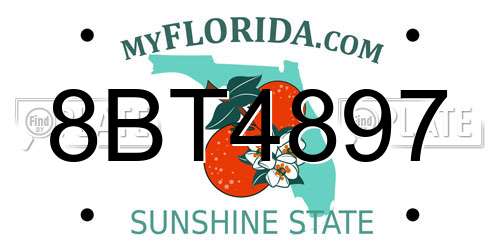 8BT4897 Florida License Plate