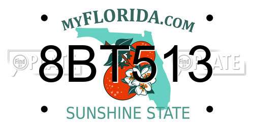 8BT513 Florida License Plate