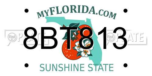8BT813 Florida License Plate