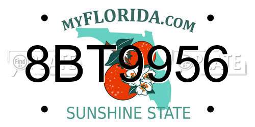 8BT9956 Florida License Plate