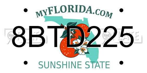 8BTD225 Florida License Plate