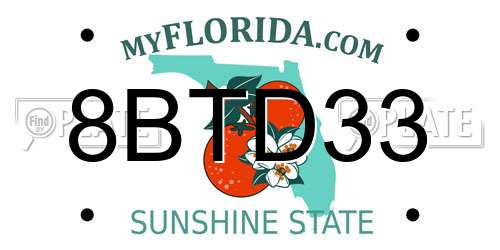 8BTD33 Florida License Plate