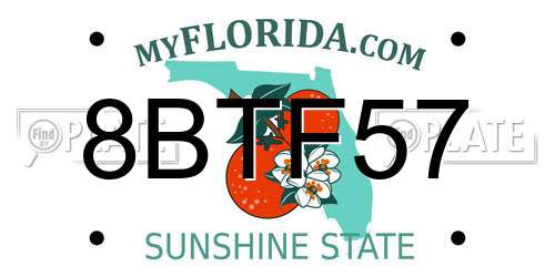 8BTF57 Florida License Plate