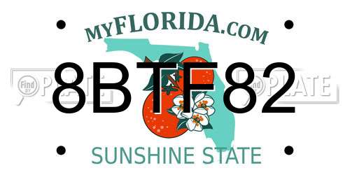 8BTF82 Florida License Plate