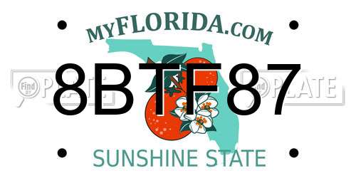 8BTF87 Florida License Plate