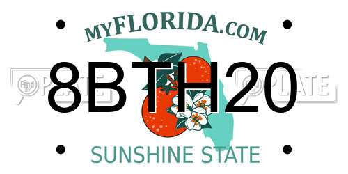 8BTH20 Florida License Plate
