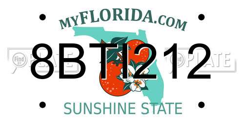 8BTI212 Florida License Plate