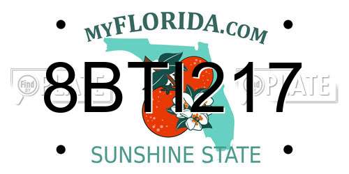8BTI217 Florida License Plate