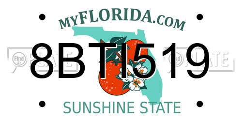 8BTI519 Florida License Plate