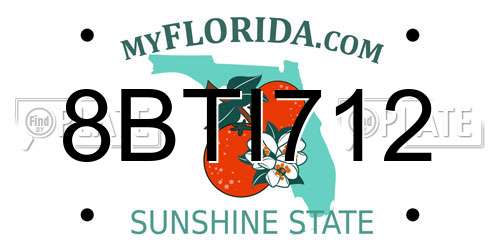 8BTI712 Florida License Plate