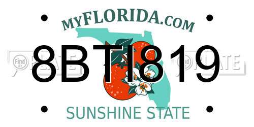 8BTI819 Florida License Plate
