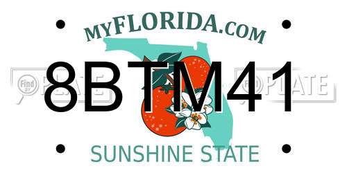 8BTM41 Florida License Plate