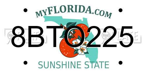 8BTO225 Florida License Plate