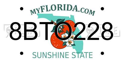 8BTO228 Florida License Plate