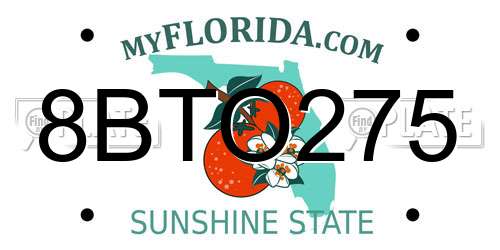 8BTO275 Florida License Plate