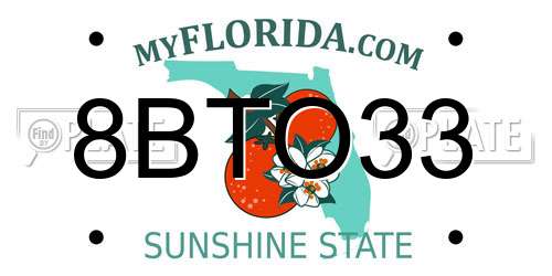 8BTO33 Florida License Plate
