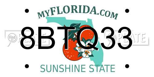 8BTQ33 Florida License Plate