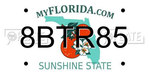 8BTR85 Florida License Plate
