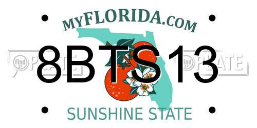 8BTS13 Florida License Plate