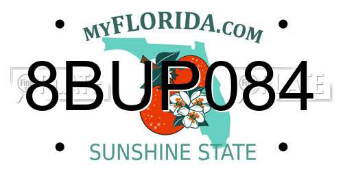 8BUP084 Florida License Plate