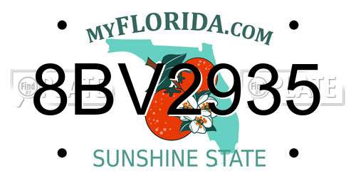 8BV2935 Florida License Plate
