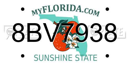 8BV7938 Florida License Plate