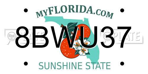 8BWU37 Florida License Plate