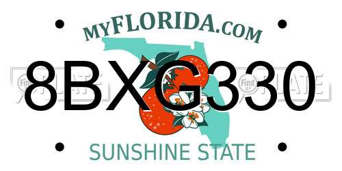 8BXG330 Florida License Plate
