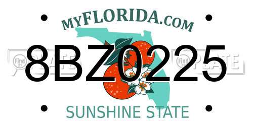 8BZ0225 Florida License Plate