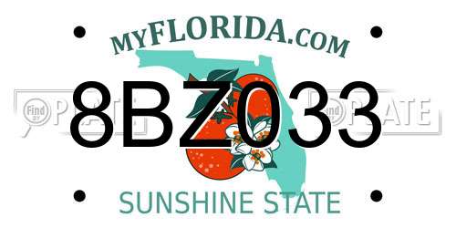 8BZ033 Florida License Plate