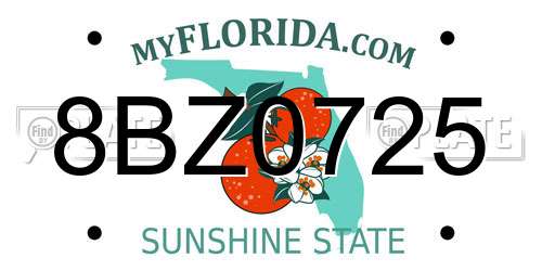 8BZ0725 Florida License Plate