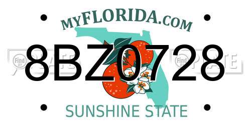 8BZ0728 Florida License Plate