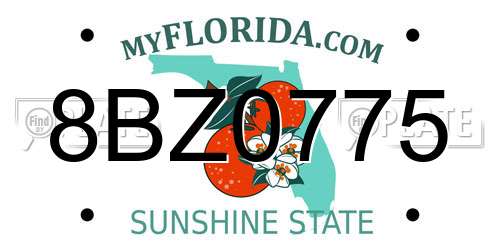 8BZ0775 Florida License Plate